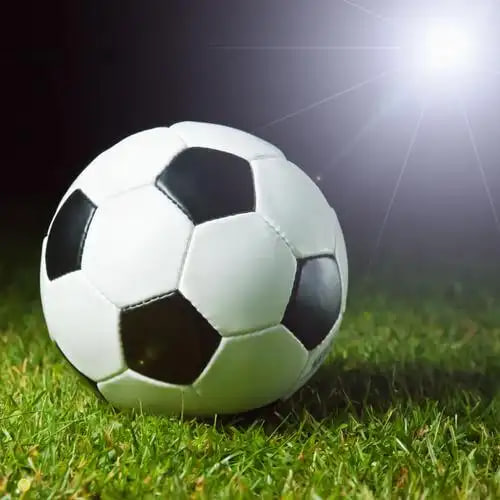 立即开始使用最新足球14场预测